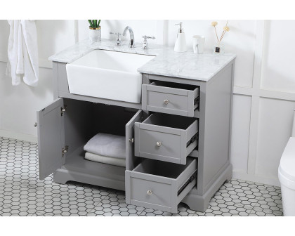 Elegant Bathroom Vanity - Gray (VF60242GR)