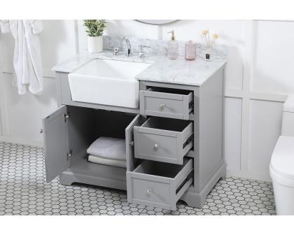 Elegant Bathroom Vanity - Gray (VF60242GR-BS)