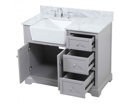 Elegant Bathroom Vanity - Gray (VF60242GR-BS)