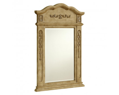 Elegant - Wall Mirror (PNT-VM-1001-VM-1006)