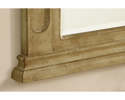 Elegant Wall Mirror - Antique Beige (VM-1001)