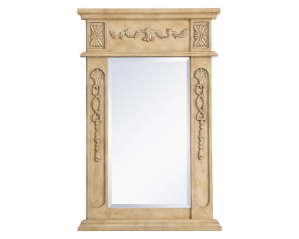 Elegant - Wall Mirror (PNT-VM11828-VM13236)