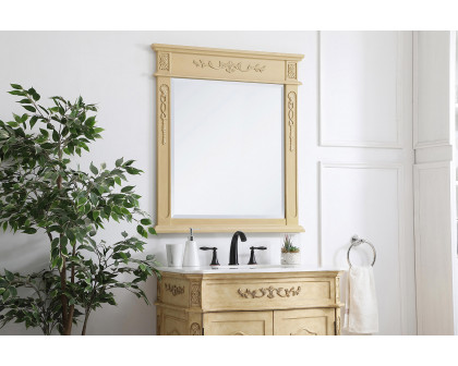 Elegant - Wall Mirror (PNT-VM11828-VM13236)