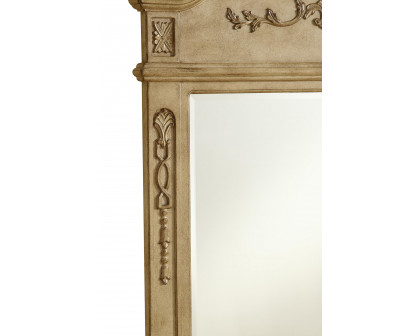 Elegant - Wall Mirror (PNT-VM3001-VM32836)