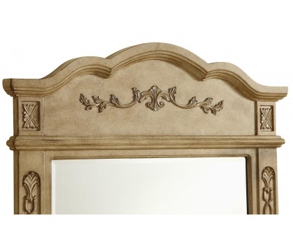 Elegant - Wall Mirror (PNT-VM3001-VM32836)