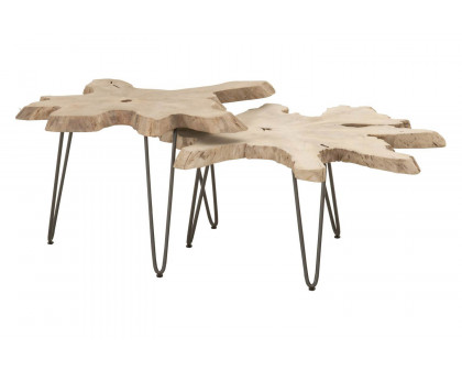 Essentials - Woven Drift Nesting Coffee Table in Gray Teak