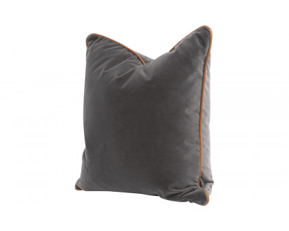 Essentials - The Not So Basic 20" Essential Pillow, Set of 2