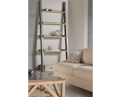 Essentials - Bella Antique Library Bookshelf in Smoke Gray