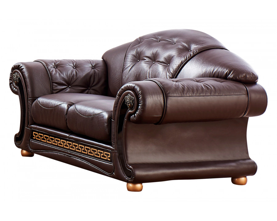 Extravaganza Apolo Loveseat - Brown