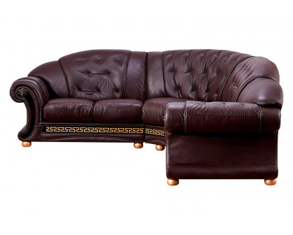 Extravaganza Apolo Sectional Left Facing - Brown