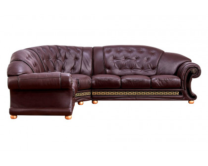 Extravaganza Apolo Sectional Left Facing - Brown