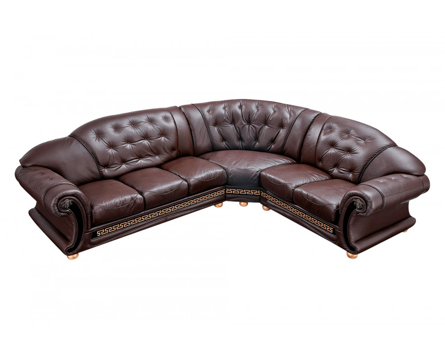 Extravaganza Apolo Sectional Right Facing - Brown