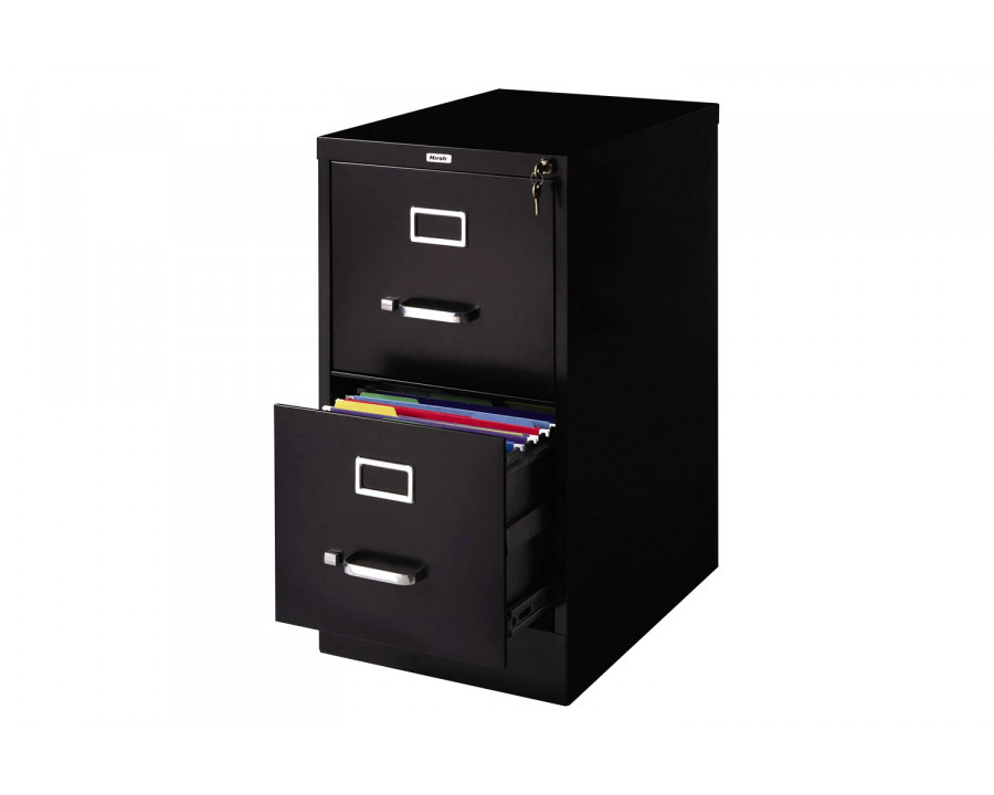 FaFurn - 2-Drawer Vertical Filing File Cabinet with Lock in Black Metal