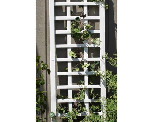 FaFurn - 6.25 Ft Wall Trellis in White Vinyl