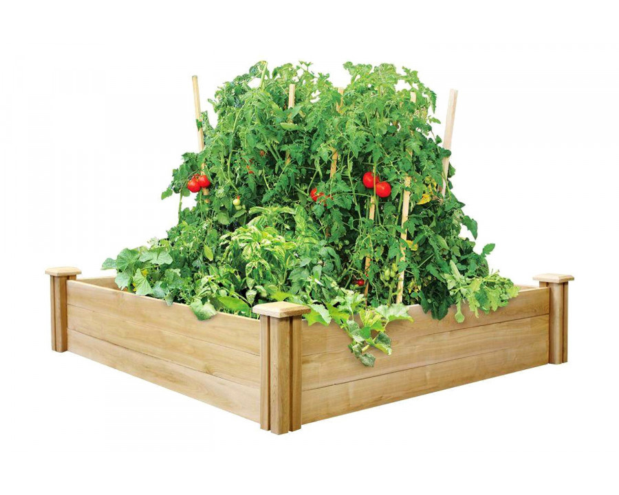 FaFurn - 4Ft X 4Ft Outdoor Cedar Wood Raised Garden Bed Planter Box