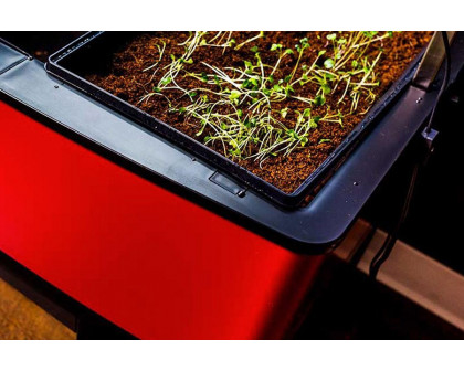 FaFurn - Red Mobile 33.5 in X 24.25 in X 23 in Self Watering Raised Garden On Wheels