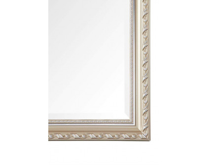 FaFurn - Champagne Full Length 65 X 22 Ornamental Filigree Floor Mirror