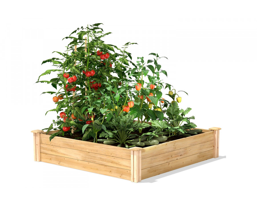 FaFurn - 4Ft X 4Ft Outdoor Pine Wood Raised Garden Bed Planter Box