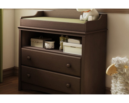 FaFurn - Baby Furniture 2 Drawer Diaper Changing Table in Espresso