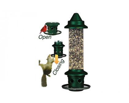 FaFurn - Squirrel-Proof Bird Feeder with Perch Ring