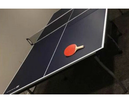 FaFurn - Official Tournament Grade Blue Foldable Indoor Table Tennis Table with Paddles and Balls