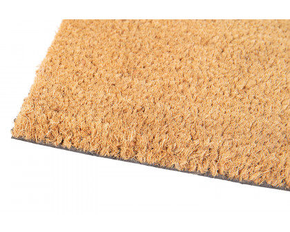 BLNK Harbold Coir Indoor-Outdoor Solid Doormat with Non-Slip Backing - Natural