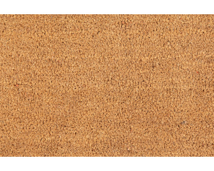 BLNK Harbold Coir Indoor-Outdoor Solid Doormat with Non-Slip Backing - Natural