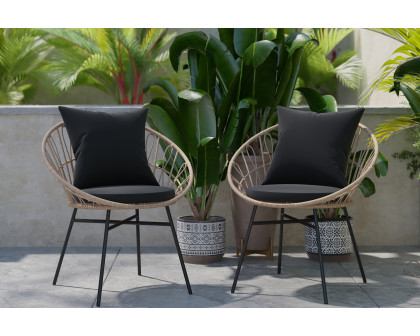 BLNK Devon Indoor-Outdoor Modern Papasan Patio Chairs Set of 2