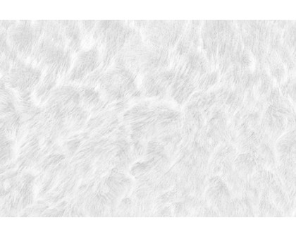 BLNK Chalet Collection Faux Fur Area Rug with Polyester Backing - White, 2'W x 7'L