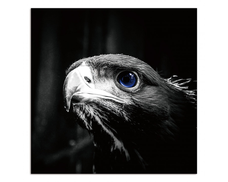 Furnings - Blue Eye Eagle Acrylic Print Unframed Wall Art