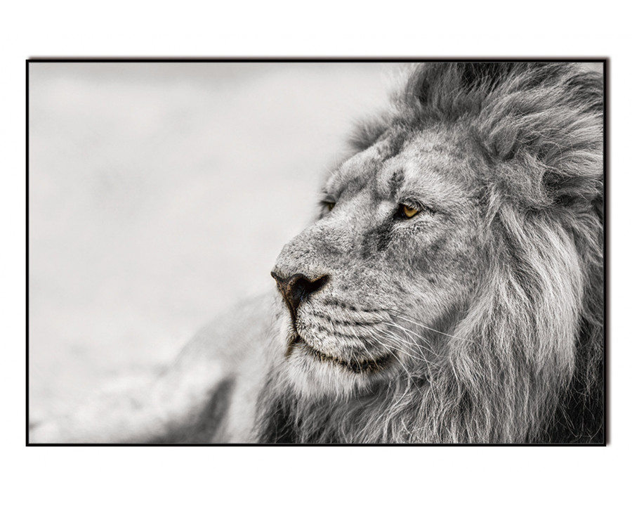 Furnings - Observing Lion Acrylic Print Unframed Wall Art