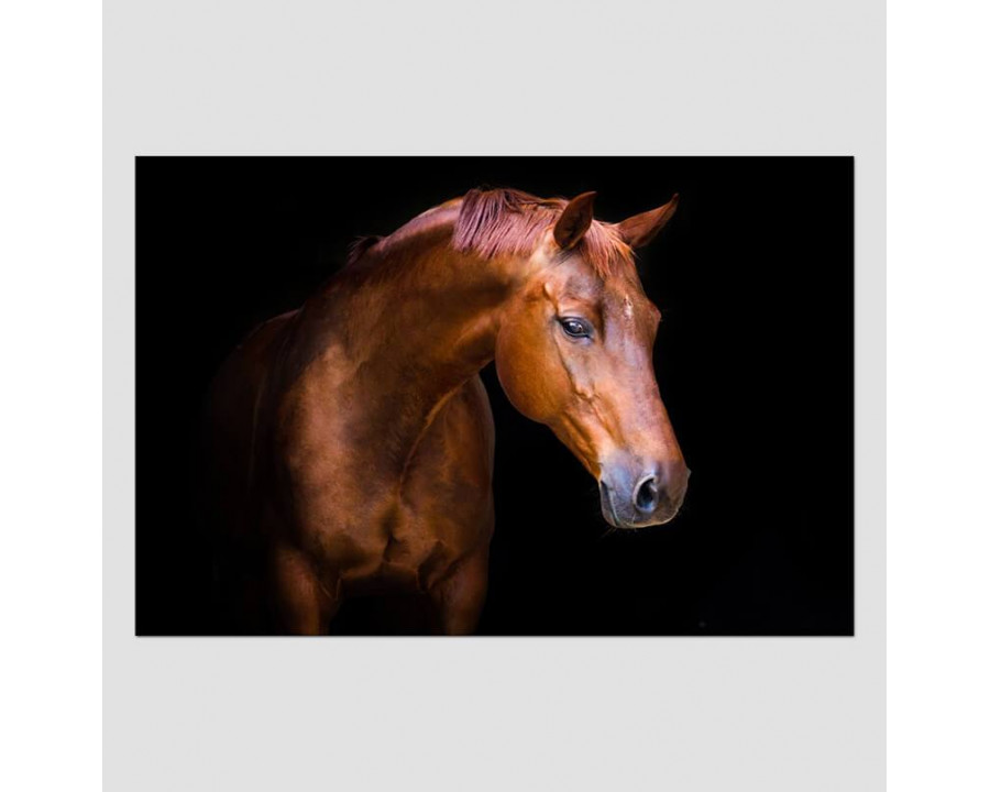 Furnings - Nobility Acrylic Horse Print Wall Art