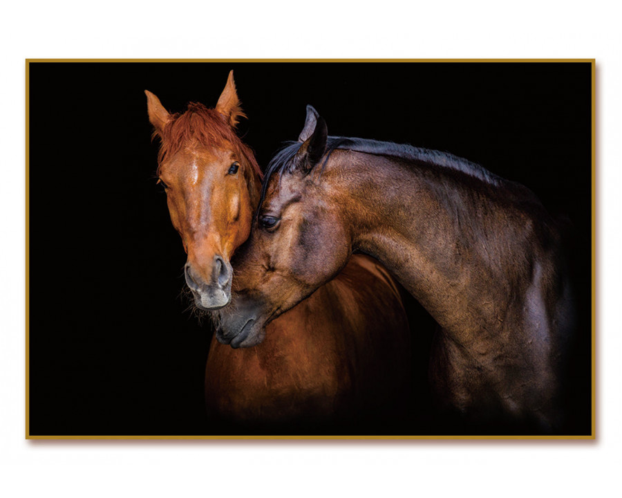 Furnings - Wild Horses Acrylic Print Unframed Wall Art