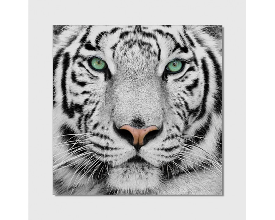 Furnings - White Tiger Acrylic Print Unframed Wall Art