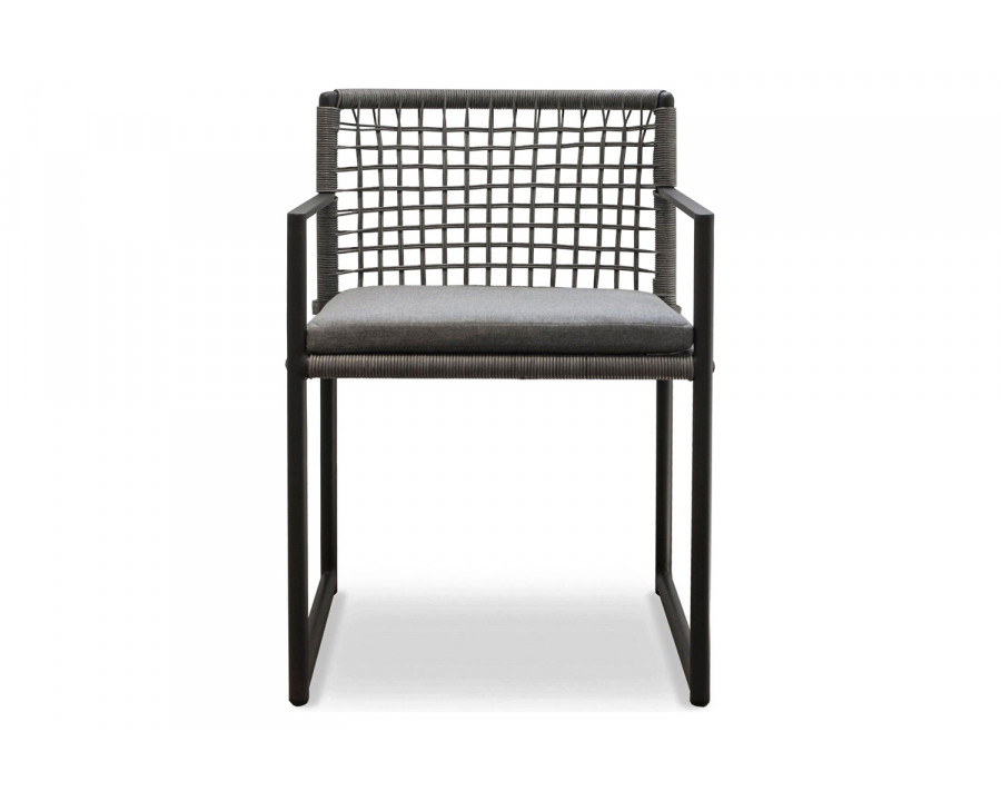 Harbour - Loop Dining Chair