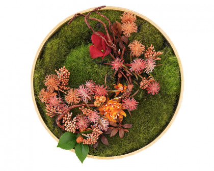 HMR 3D Round Preserved Moss Flower Wall Art Hanging Rainbow Floral Decor with Wood Frame – Multi-Color, Style B