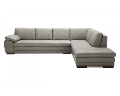 J&M - 625 Italian Leather Sectional