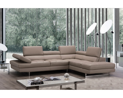 J&M - A761 Italian Leather Sectional