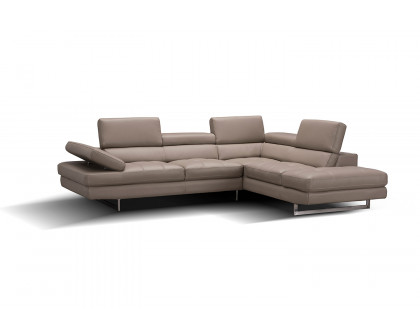 J&M - A761 Italian Leather Sectional