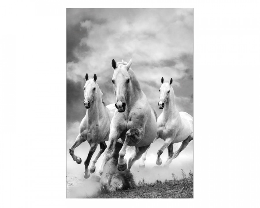 J&M - Wall Art Galloping Horses in White/Gray