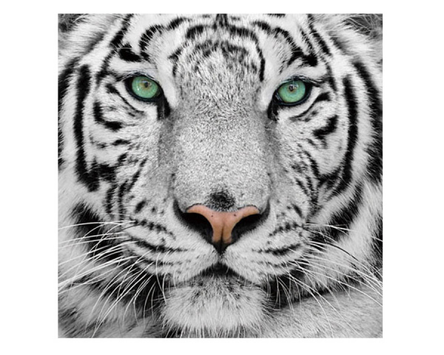 J&M - Wall Art Tiger in Black/White