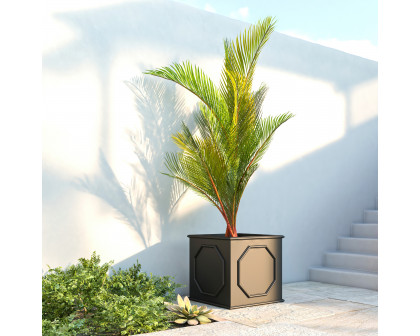 LeisureMod Sprout Modern 22" Cube Planter in Fiberstone and Clay - Black