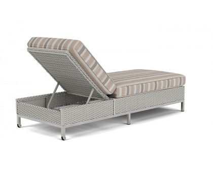 Lloyd Flanders™ Elements Elements Chaise - Platinum