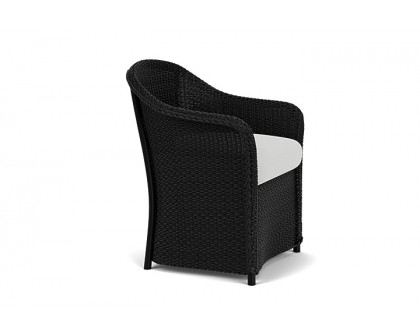 Lloyd Flanders™ Weekend Retreat Dining Armchair - Ebony, Loveboat Mint