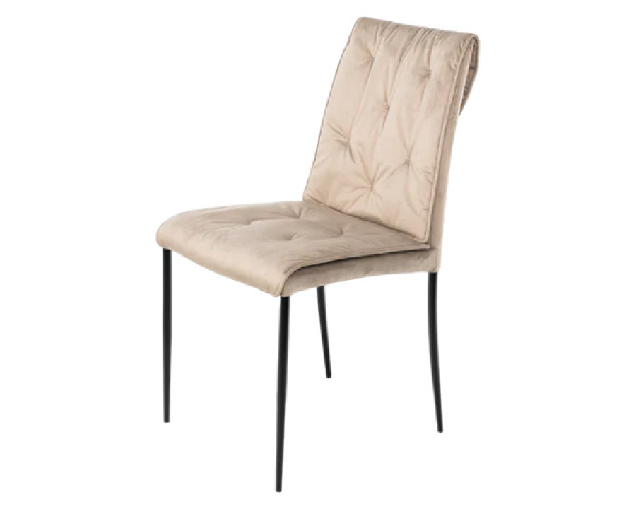 Maxima - Set of 2 Domizio Dining Chair