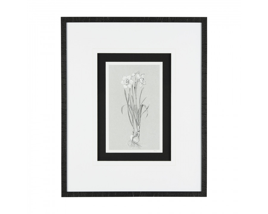 Mercana Botanical Sketches II - Gray/Black, Medium