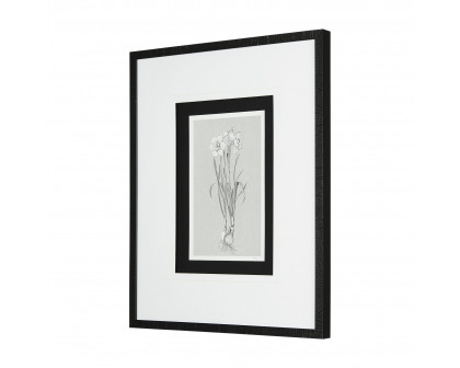 Mercana Botanical Sketches II - Gray/Black, Medium