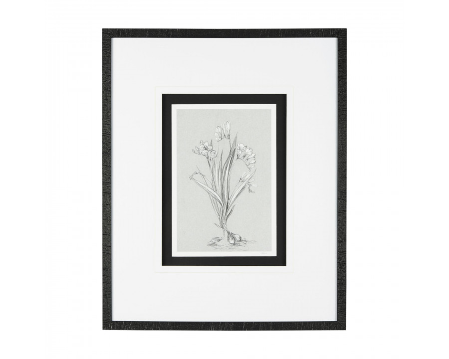 Mercana Botanical Sketches III - Gray/Black, Medium