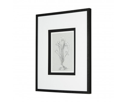 Mercana Botanical Sketches III - Gray/Black, Medium