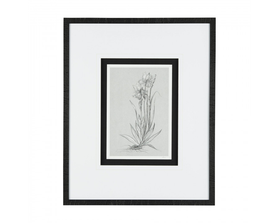 Mercana Botanical Sketches IV - Gray/Black, Medium